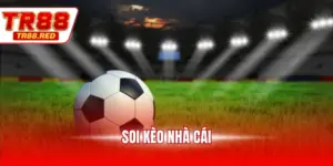 Soi kèo nhà cái