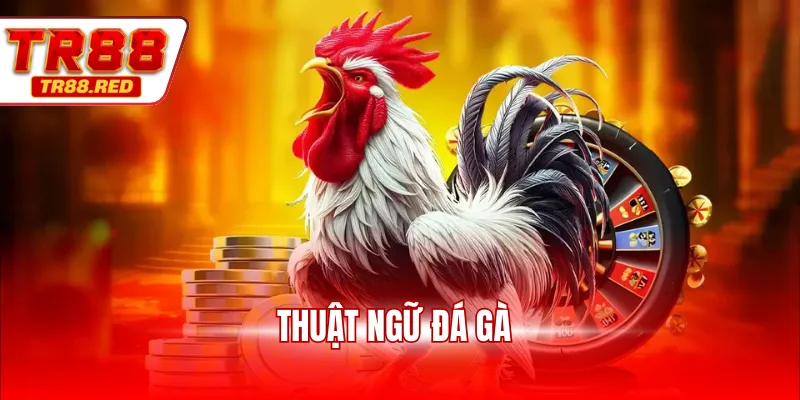 Thuật ngữ đá gà